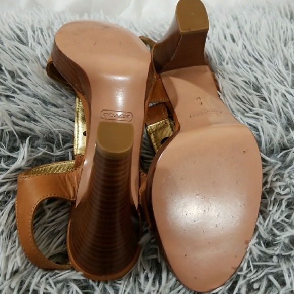 Coach - Picture 4 of 8